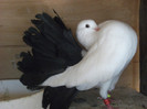 DSCF0584