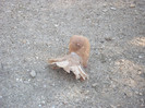 DSCF0586