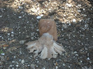 DSCF0596