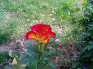 P1010830