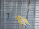 CIMG0626