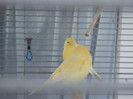 CIMG0632
