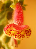 DSCN3384