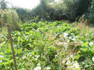 DSCN0447