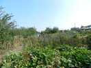 DSCN0452