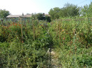 DSCN0461