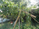 DSCN0462