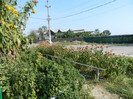 DSCN0479