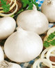 White Sweet Spanish