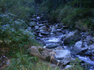 DSCF8355