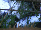 DSCF8365