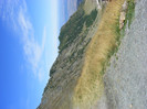 DSCF8417