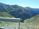 DSCF8428