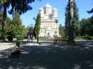 DSCF8457
