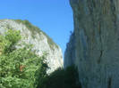 DSCF8473