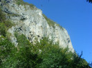 DSCF8475