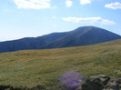 DSCF8480