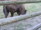 DSCF8522