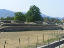 DSCF8533
