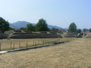 DSCF8534