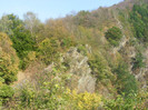 DSCF8537