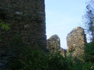 DSCF8538