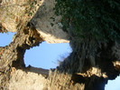 DSCF8555