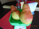 DSCN4932