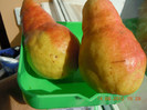 DSCN4933