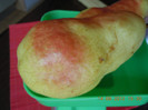 DSCN4935