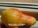 DSCN4939