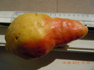 DSCN4942