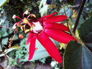 DSC00432