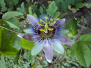DSC00404