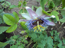 DSC00405