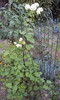 DSC00355
