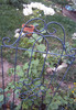 DSC00357