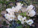 DSC00401
