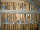 Picture 022