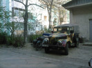 ims - Parma din Galati 2