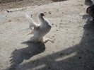DSC03771