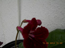 14.09.2012 032