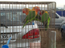 2012-09-15 09.11.27