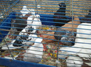 2012-09-15 09.18.53