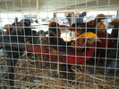 2012-09-15 09.27.25