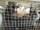 2012-09-15 09.27.37