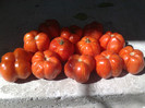 29082012 rosii de umplut