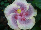 P1180364