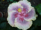 P1180366