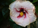 P1180368
